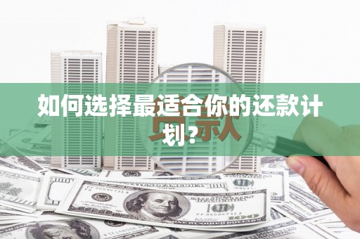 大名如何选择最适合你的还款计划？