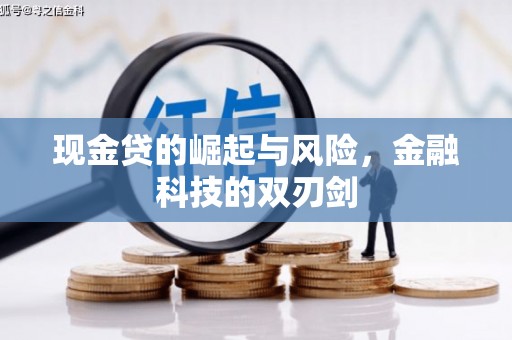 大名现金贷的崛起与风险，金融科技的双刃剑