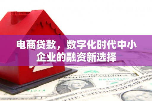 大名电商贷款，数字化时代中小企业的融资新选择
