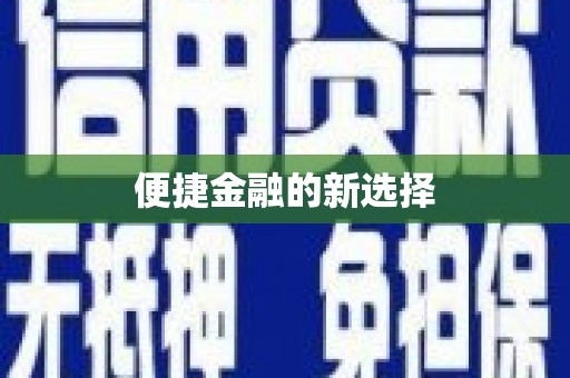 大名便捷金融的新选择