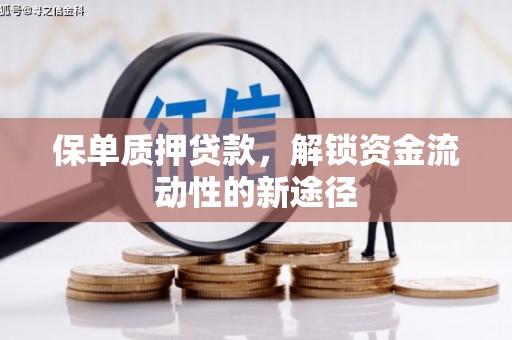 大名保单质押贷款，解锁资金流动性的新途径