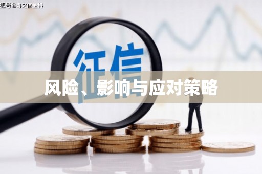 大名风险、影响与应对策略