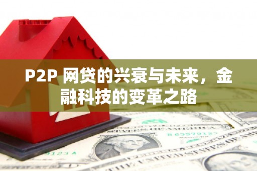 大名P2P 网贷的兴衰与未来，金融科技的变革之路