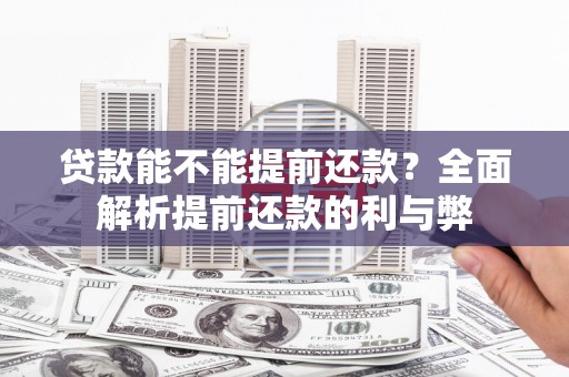 大名贷款能不能提前还款？全面解析提前还款的利与弊