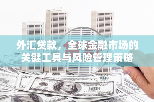大名外汇贷款，全球金融市场的关键工具与风险管理策略