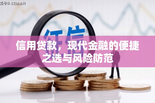 大名信用贷款，现代金融的便捷之选与风险防范