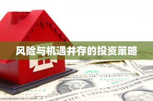 大名风险与机遇并存的投资策略