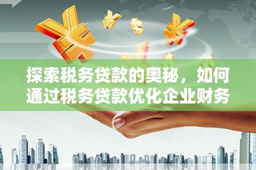 大名探索税务贷款的奥秘，如何通过税务贷款优化企业财务