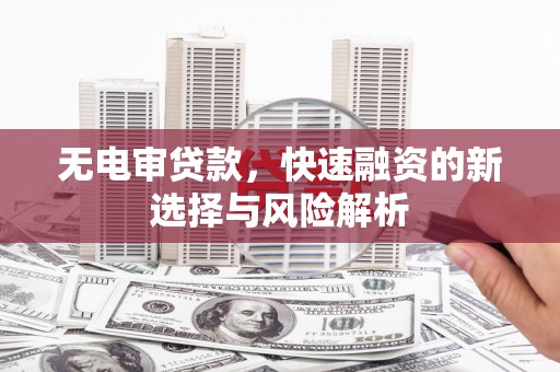 大名无电审贷款，快速融资的新选择与风险解析
