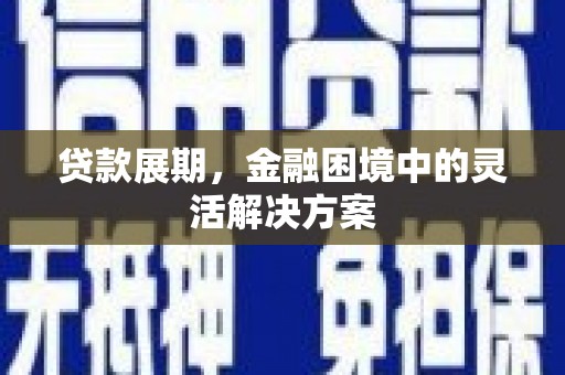 大名贷款展期，金融困境中的灵活解决方案