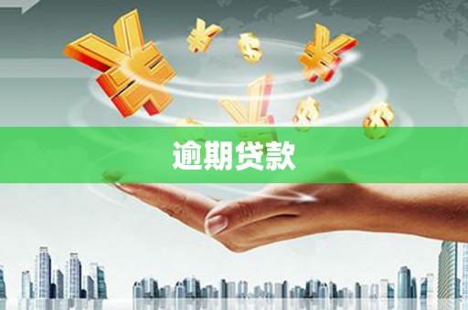 大名逾期贷款
