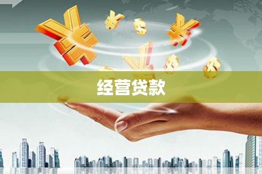 大名经营贷款