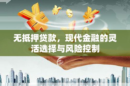 大名无抵押贷款，现代金融的灵活选择与风险控制