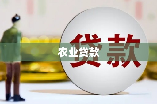 大名农业贷款