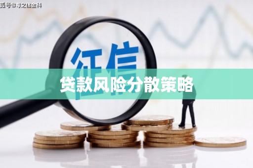 大名贷款风险分散策略