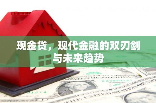 大名现金贷，现代金融的双刃剑与未来趋势