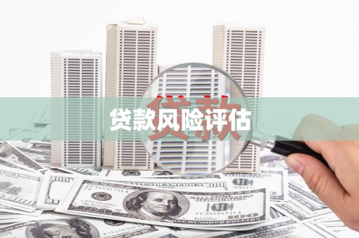 大名贷款风险评估