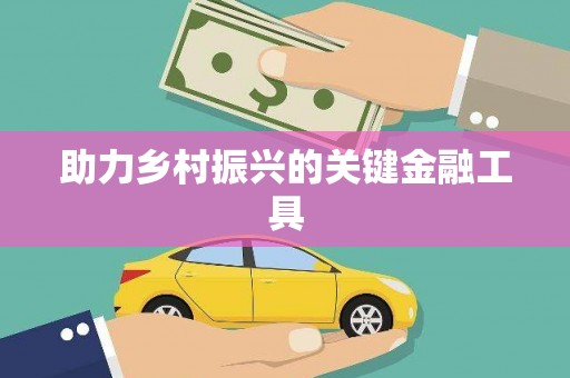 大名助力乡村振兴的关键金融工具