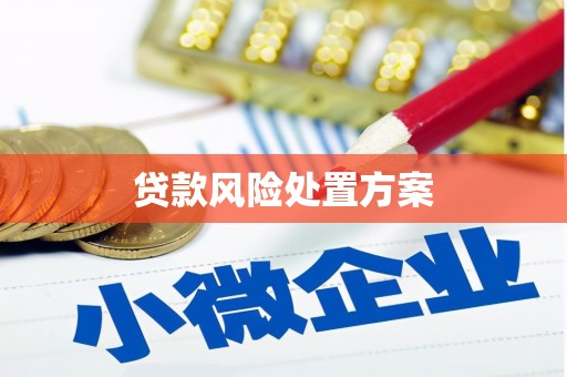 大名贷款风险处置方案