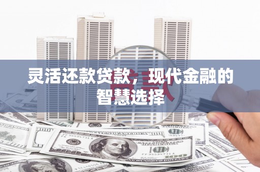 大名灵活还款贷款，现代金融的智慧选择