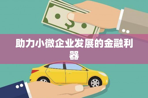 大名助力小微企业发展的金融利器