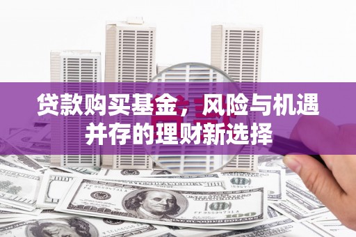 大名贷款购买基金，风险与机遇并存的理财新选择