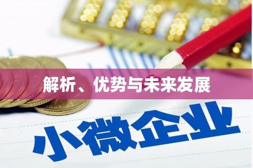 大名解析、优势与未来发展