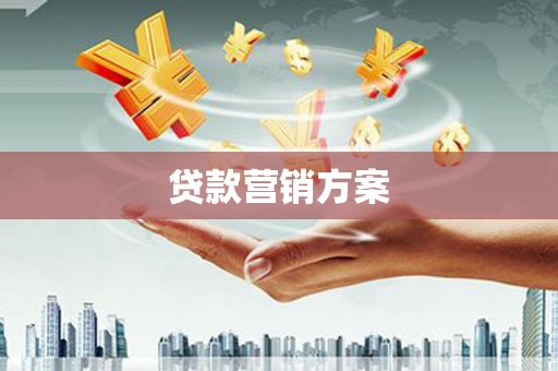 大名贷款营销方案