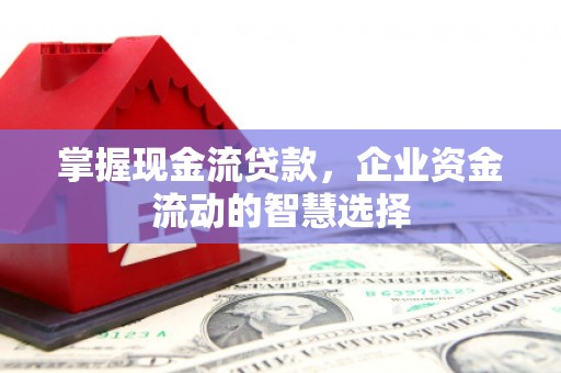 大名掌握现金流贷款，企业资金流动的智慧选择