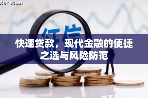 大名快速贷款，现代金融的便捷之选与风险防范
