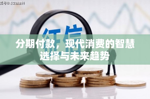 大名分期付款，现代消费的智慧选择与未来趋势