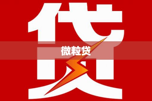 大名微粒贷