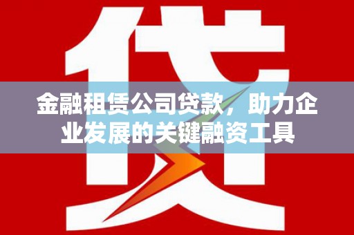大名金融租赁公司贷款，助力企业发展的关键融资工具