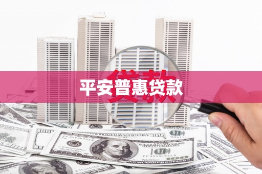 大名平安普惠贷款