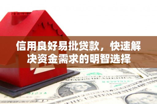 大名信用良好易批贷款，快速解决资金需求的明智选择