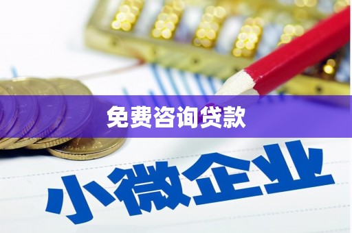 大名免费咨询贷款