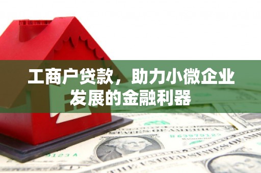 大名工商户贷款，助力小微企业发展的金融利器