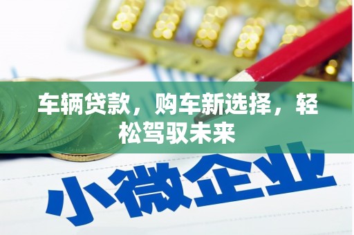 大名车辆贷款，购车新选择，轻松驾驭未来