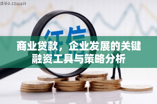 大名商业贷款，企业发展的关键融资工具与策略分析