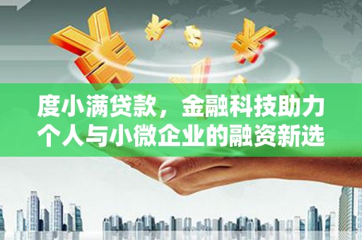 大名度小满贷款，金融科技助力个人与小微企业的融资新选择