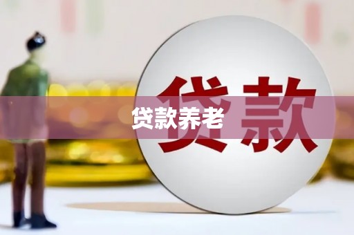 大名贷款养老