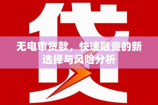 大名无电审贷款，快速融资的新选择与风险分析
