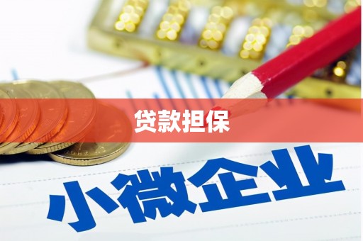大名贷款担保