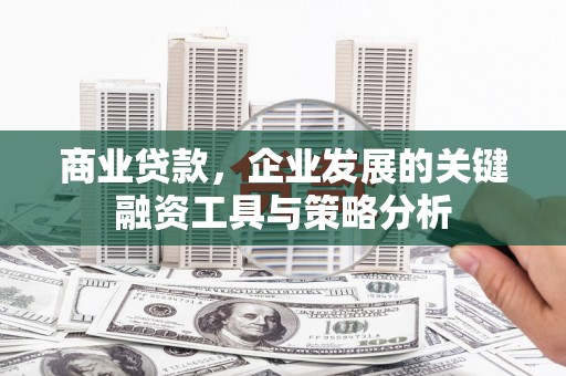 大名商业贷款，企业发展的关键融资工具与策略分析