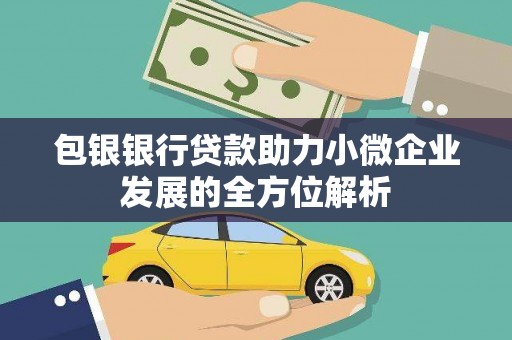 大名包银银行贷款助力小微企业发展的全方位解析