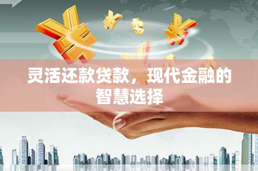 大名灵活还款贷款，现代金融的智慧选择