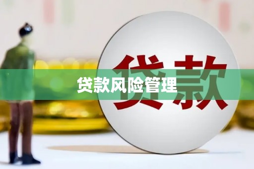 大名贷款风险管理