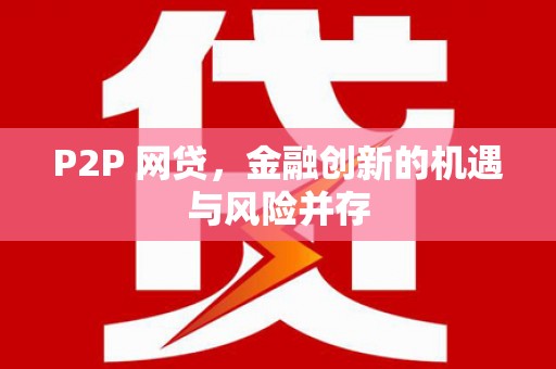 大名P2P 网贷，金融创新的机遇与风险并存