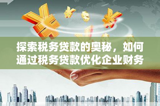 大名探索税务贷款的奥秘，如何通过税务贷款优化企业财务