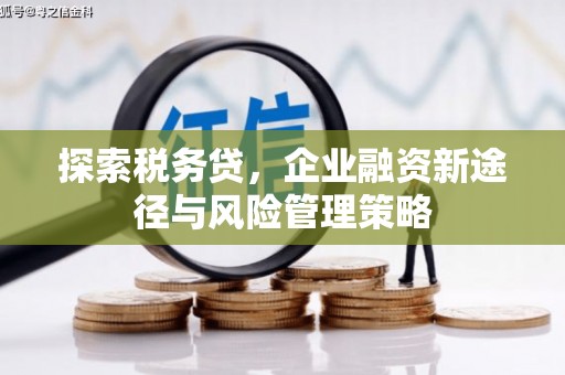 大名探索税务贷，企业融资新途径与风险管理策略